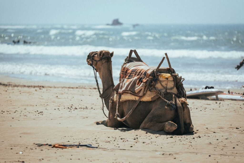 Agadir, Morocco